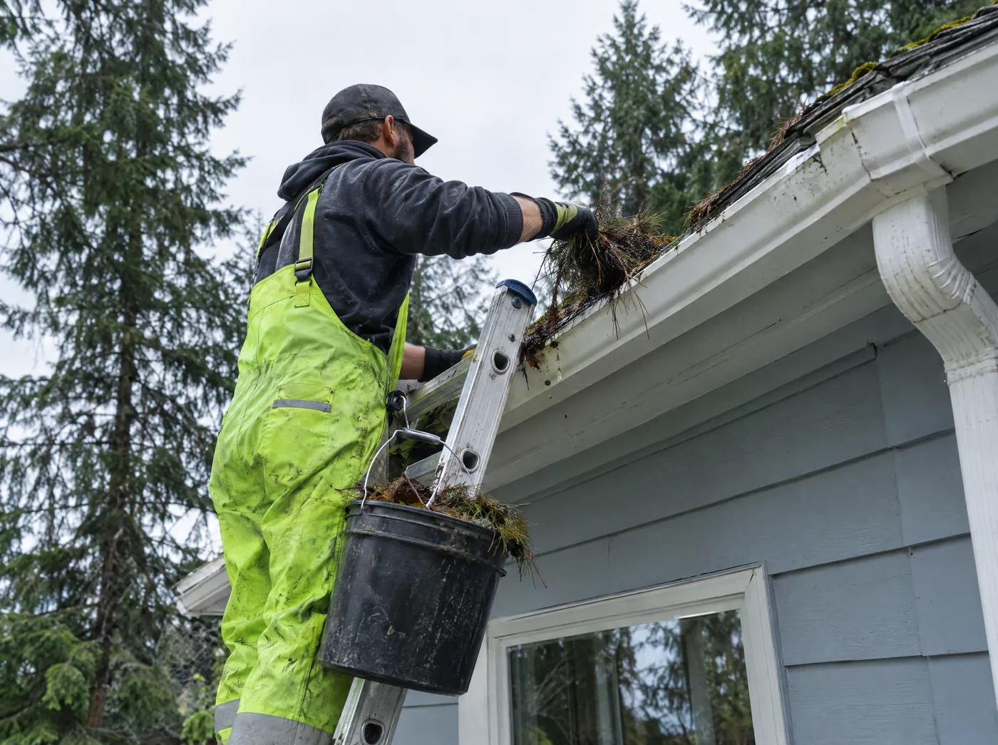 Technician cleaning fir needles out of a home's gutters
