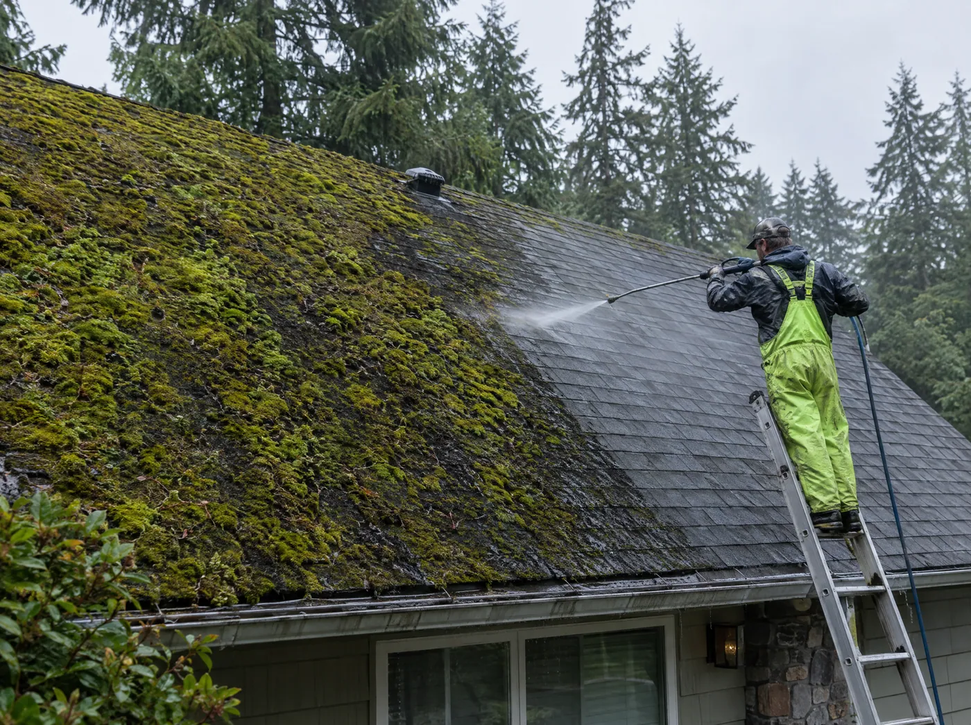 Technician soft washing moss off an asphalt shingle roof